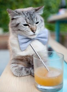 开云体育官方入口-《电竞直播技术升级：画面细节再现极致体验》，电竞直播盈利攻略